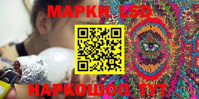 крисы Абакан