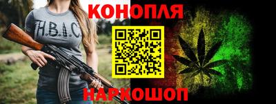 крисы Абакан