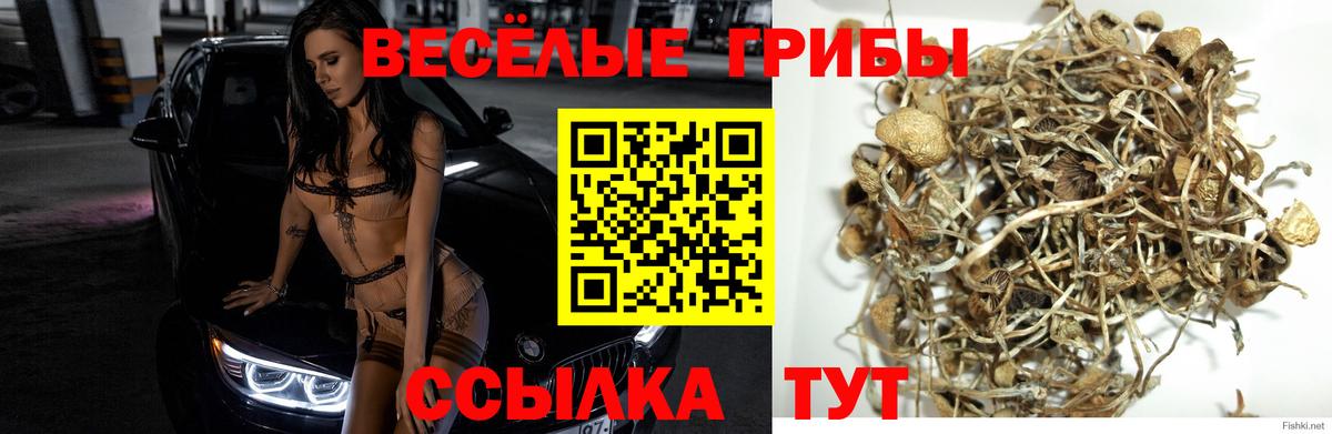 Абинск  цена наркотик  Вход с VPN  Галлюциногенные грибы Magic Shrooms 
